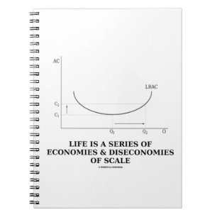 Life Is A Series Of Economies & Diseconomies Scale Notebook