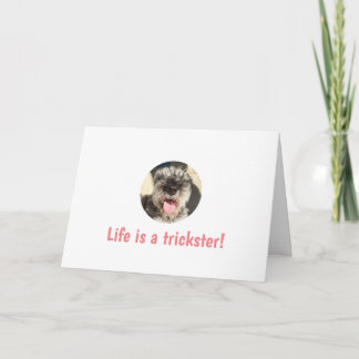 Life is a Trickster Greeting Card