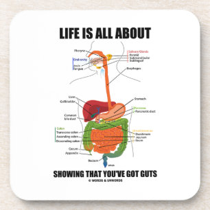 Life Is All About Showing That You've Got Guts Coaster