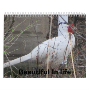 Life  is Beautiful Calendar