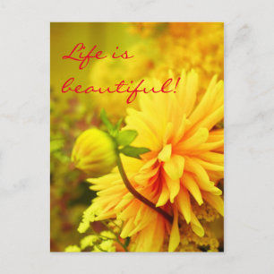Life Is Beautiful Golden Yellow Dahlias Postcard