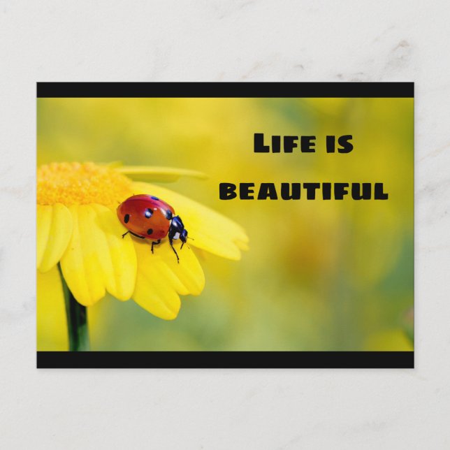 Life is beautiful - Ladybug Postcard (Front)