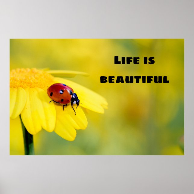 Life is beautiful - Ladybug Poster (Front)
