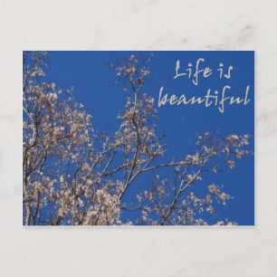 Life is beautiful postcard