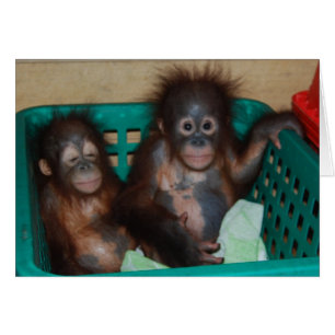 Life is Best When Shared