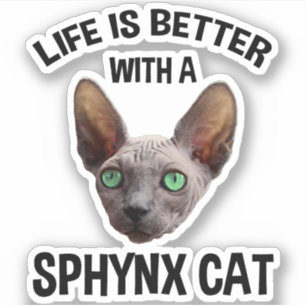 Life Is Better With A Sphynx Cat