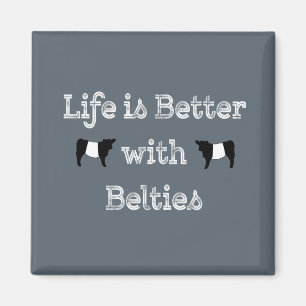 Life is Better with Belties Belted Galloway Cows Magnet