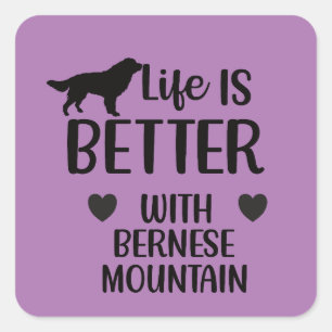 Life is better with bernese Dog, Bernese Lover Square Sticker