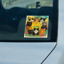 Life Is Better With TNR 