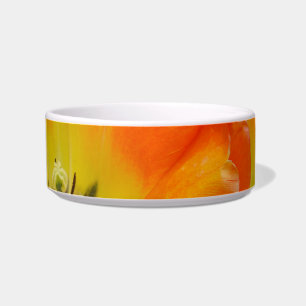 Life is Bright Bowl
