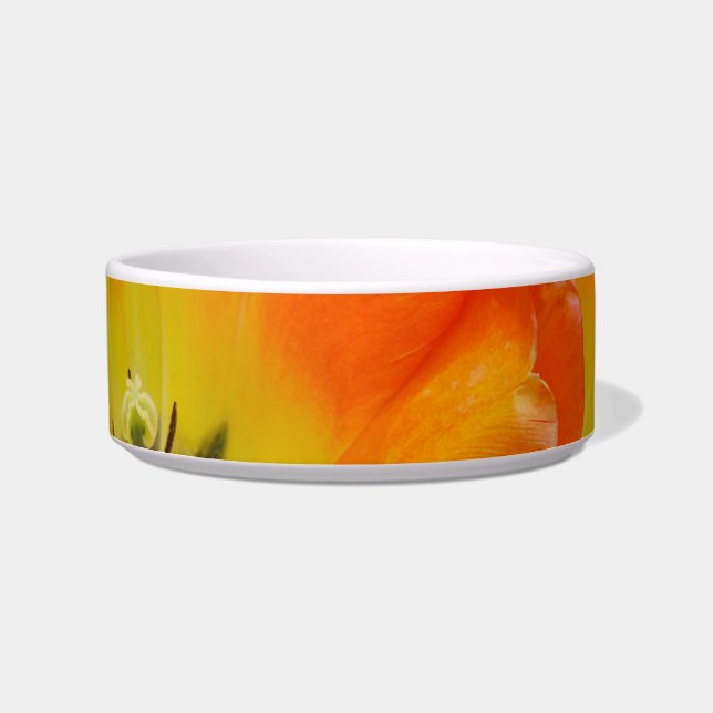 Life is Bright  Bowl (Front)