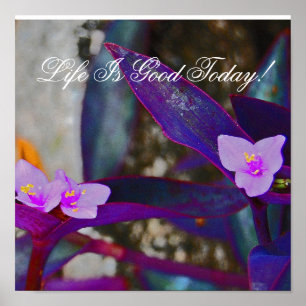 Life Is Good Today! Poster