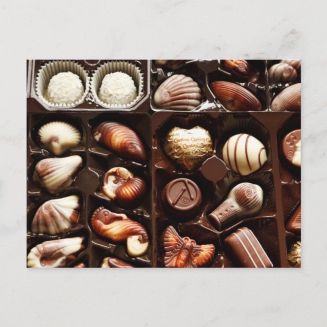 Life is like a box of chocolates sweet dessert postcard (Front)