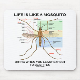 Life Is Like A Mosquito Biting When Least Expect Mouse Pad