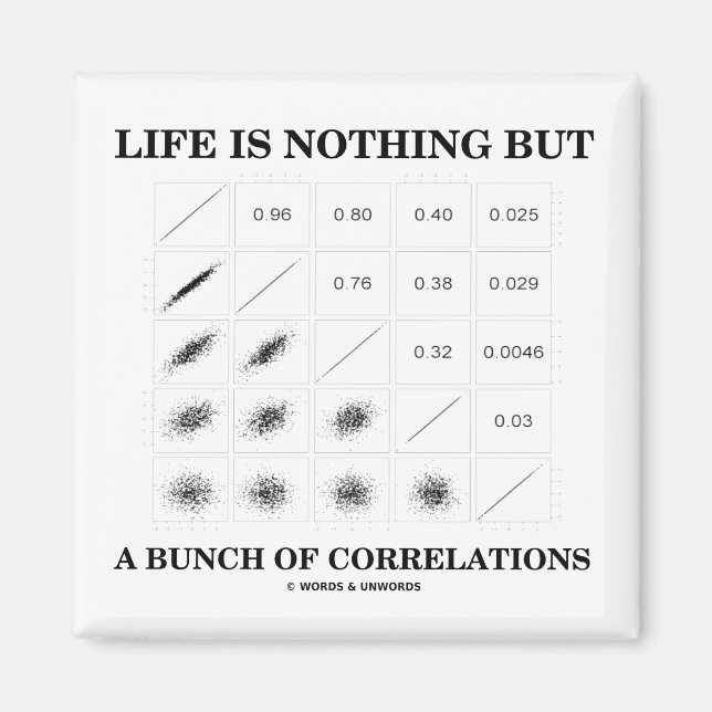 Life Is Nothing But A Bunch Of Correlations Magnet (Front)