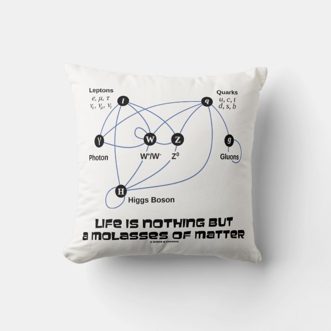 Life Is Nothing But A Molasses Of Matter Physics Cushion (Front)