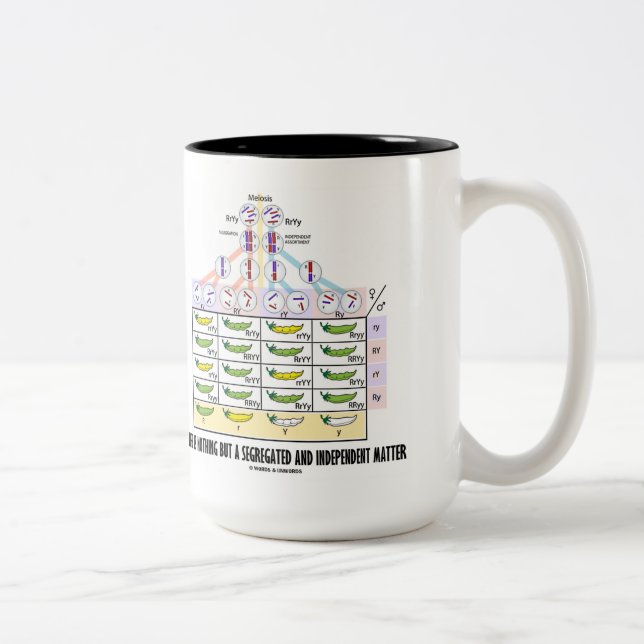 Life Is Nothing But A Segregated Independent Two-Tone Coffee Mug (Right)