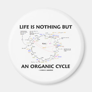 Life Is Nothing But An Organic Cycle (Krebs Cycle) Magnet