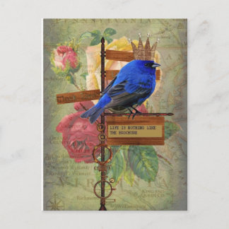 Life is nothing like the brochure postcard