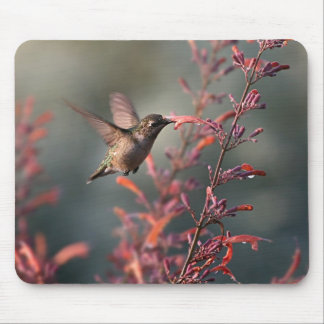 Life Is Sweet Mouse Pad