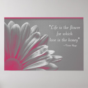Life is the Flower - Pink Daisy Poster