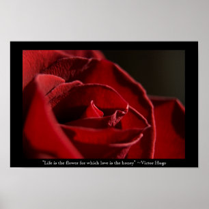 Life is the Flower - Red Rose Poster