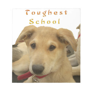 "Life is the Toughest School" Dog Art Print Notepad