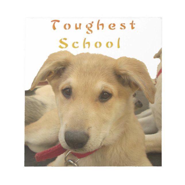 "Life is the Toughest School" Dog Art Print Notepad (Front)
