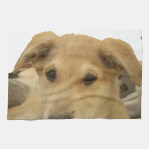 "Life is the Toughest School" Dog Art Print Tea Towel