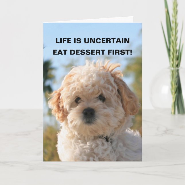LIFE IS UNCERTAIN, EAT DESSERT F... CARD (Front)