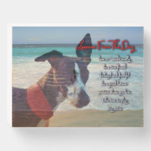 Life Lesson From The Dog