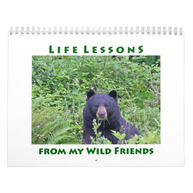 Life Lessons Animal Calendar (Cover)