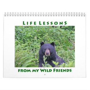 Life Lessons Animal Calendar