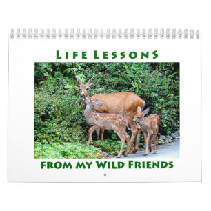 Life Lessons Wild Animal Calendar