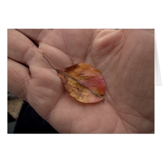 Life Lines  2014 (Front Horizontal)