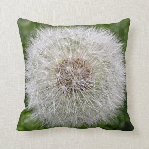 Life of a Dandelion Cushion