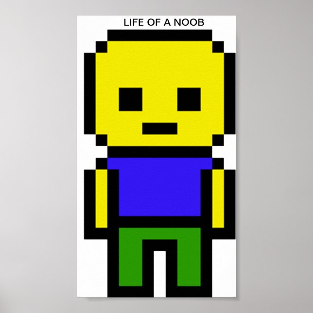Life of a noob poster (Front)