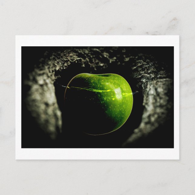 life on the apple postcard (Front)