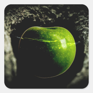 life on the apple square sticker