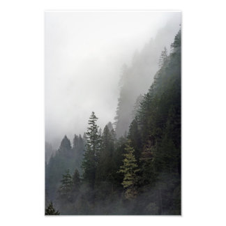 Life On The Edge. Photo Print