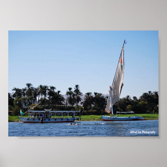 Life on the Nile Poster (Front)