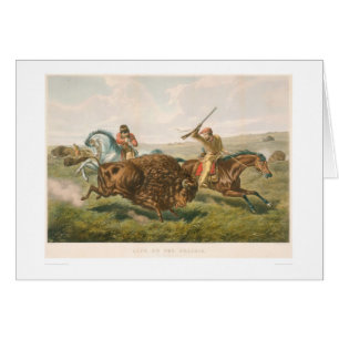 Life on the Prairie: The Buffalo Hunt (0878A)