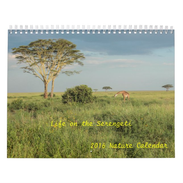 Life on the Serengeti 2016 Wildlife Calendar (Cover)