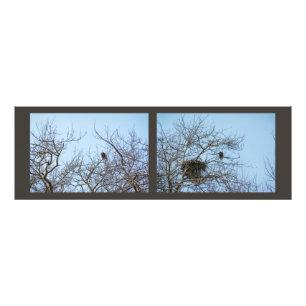 Life Partners Photo Print