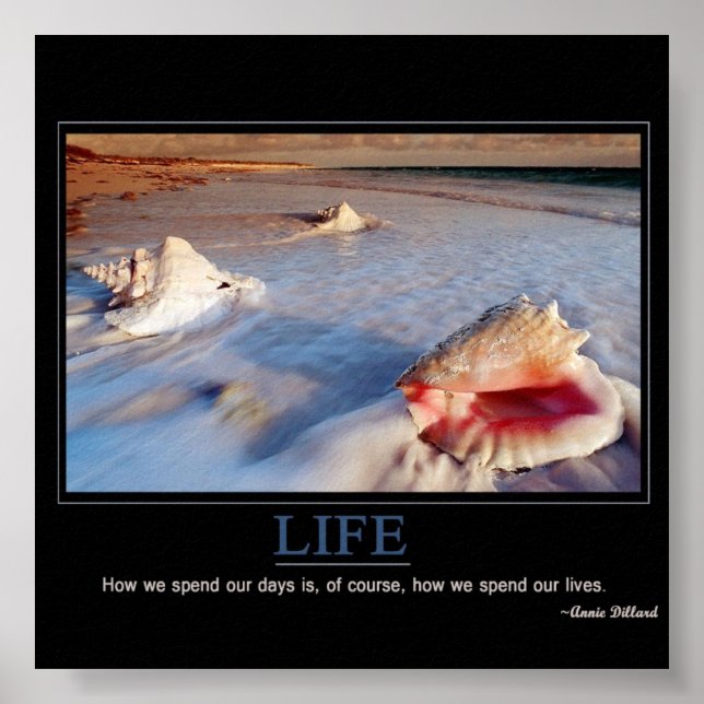 Life Poster (Front)
