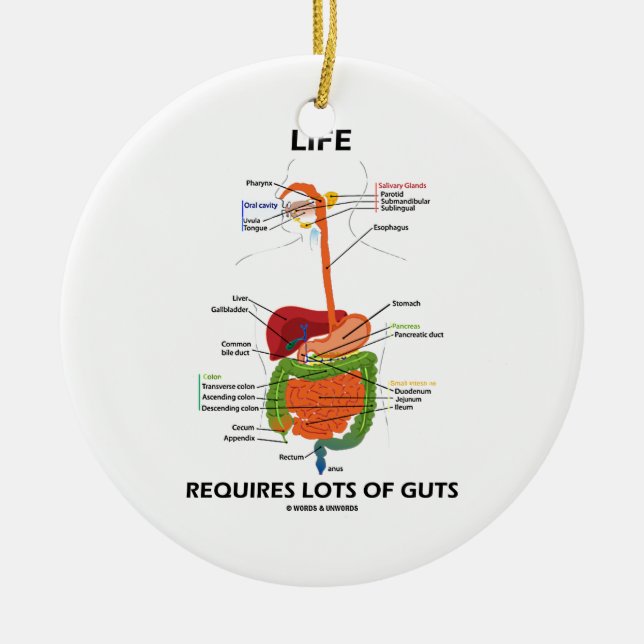 Life Requires Lots Of Guts (Digestive System) Ceramic Ornament (Front)