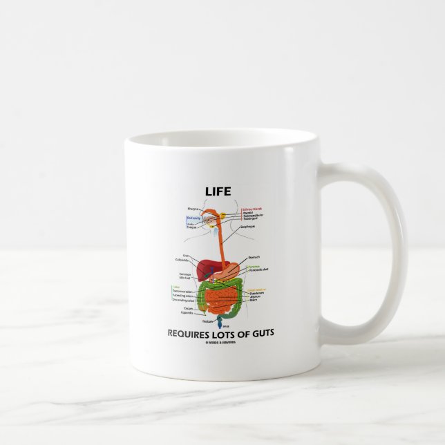 Life Requires Lots Of Guts (Digestive System) Coffee Mug (Right)