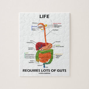 Life Requires Lots Of Guts (Digestive System) Jigsaw Puzzle