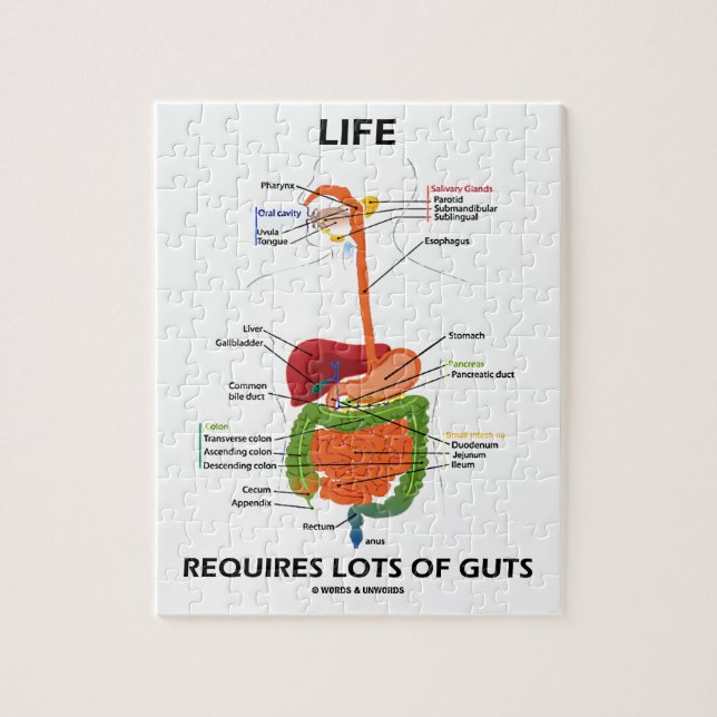 Life Requires Lots Of Guts (Digestive System) Jigsaw Puzzle (Vertical)