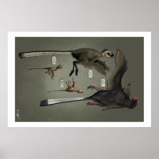 Life Size Sansoriopterygids Poster